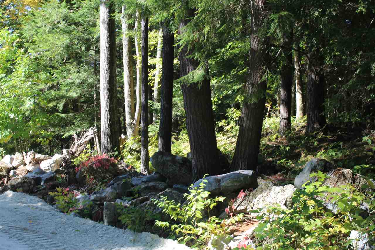 590 Piper Ridge Middlebury, VT 05753 - Photo 6 of 23