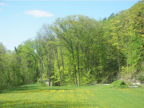 590 Piper Ridge Middlebury, VT 05753 - Photo 10 of 23