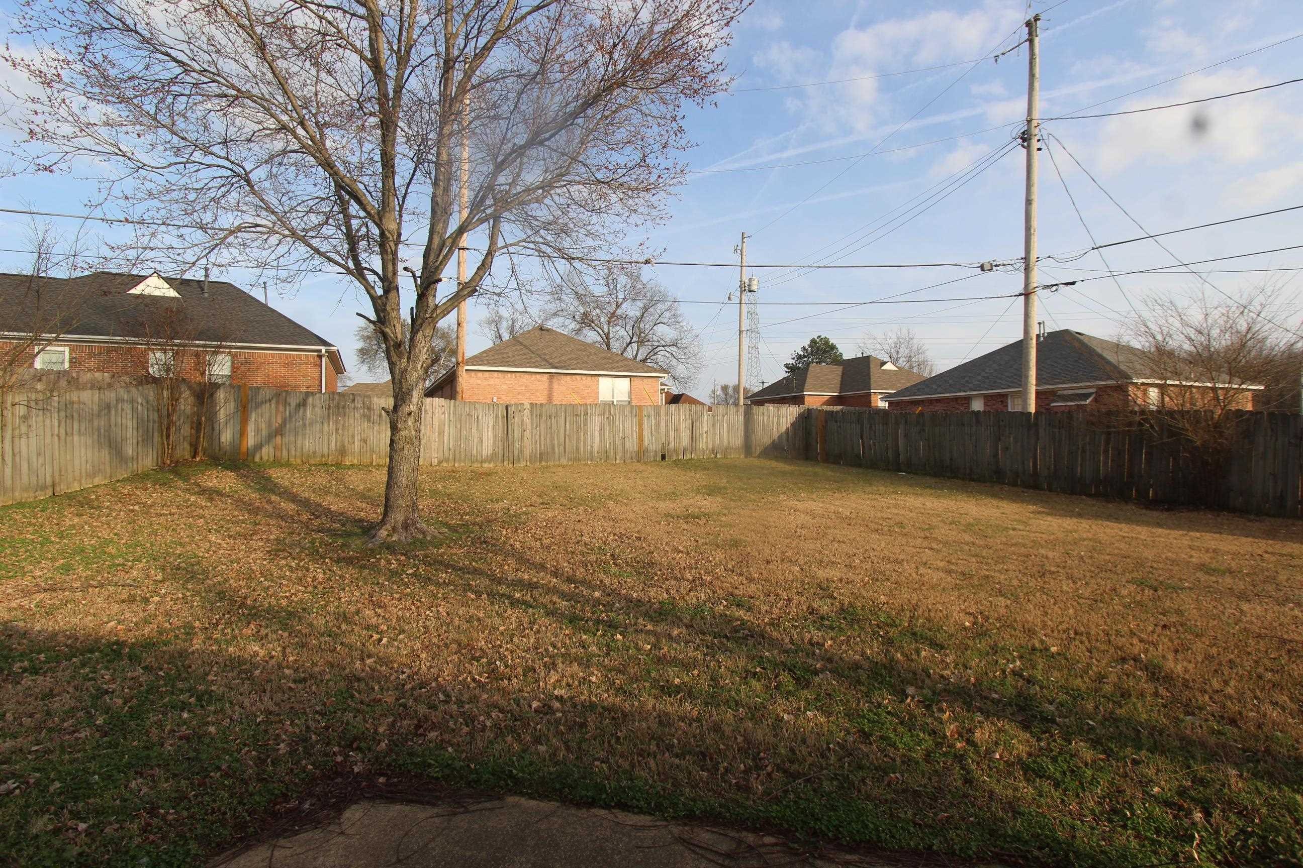 4563 Cedargreen Cove Memphis, TN 38128 - Photo 12 of 12 a view of a yard with a large tree