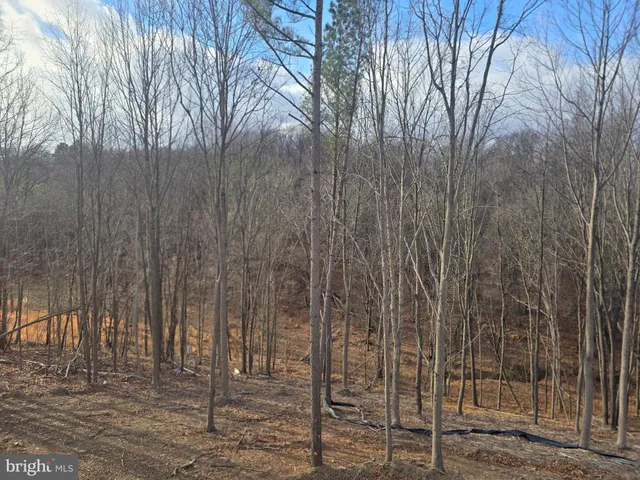 a view of wooden fence