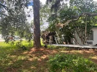 a view of outdoor space with trees all around