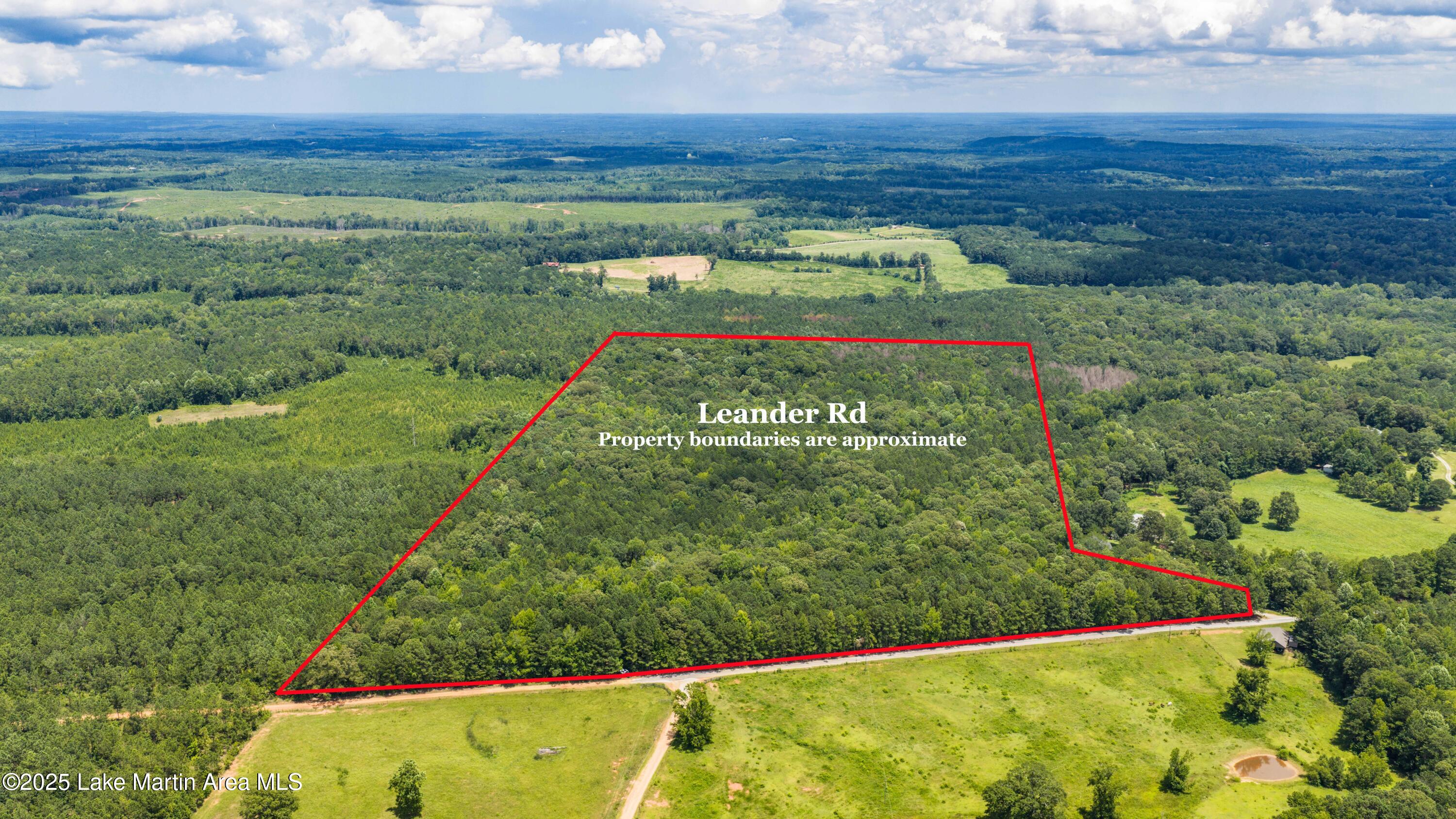 0 Leander Road Daviston, AL 36256 - Photo 1 of 1 1-SREM_20250710132534_0003_D