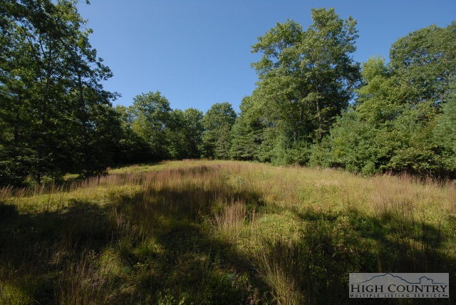 Country Ridge Road Laurel Springs, NC 28644 - Photo 1 of 3 Gallery Image 1