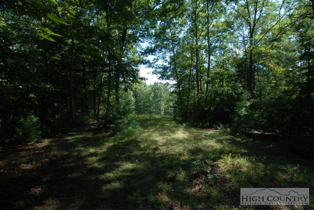 Country Ridge Road Laurel Springs, NC 28644 - Photo 2 of 3 Gallery Image 2