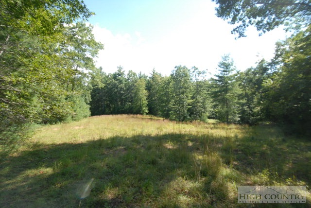 Country Ridge Road Laurel Springs, NC 28644 - Photo 3 of 3 Gallery Image 3