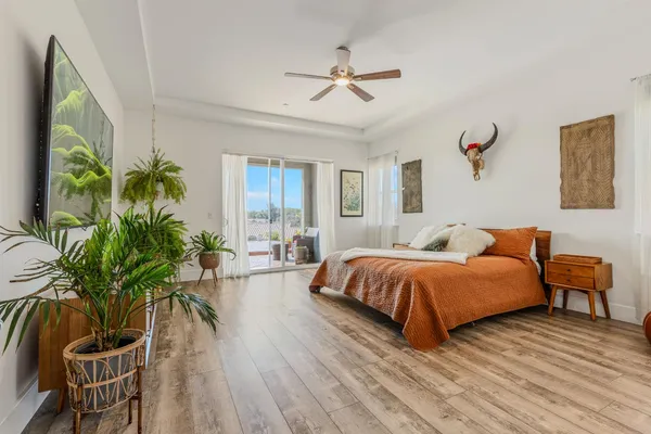 a spacious bedroom with a bed and a potted plant