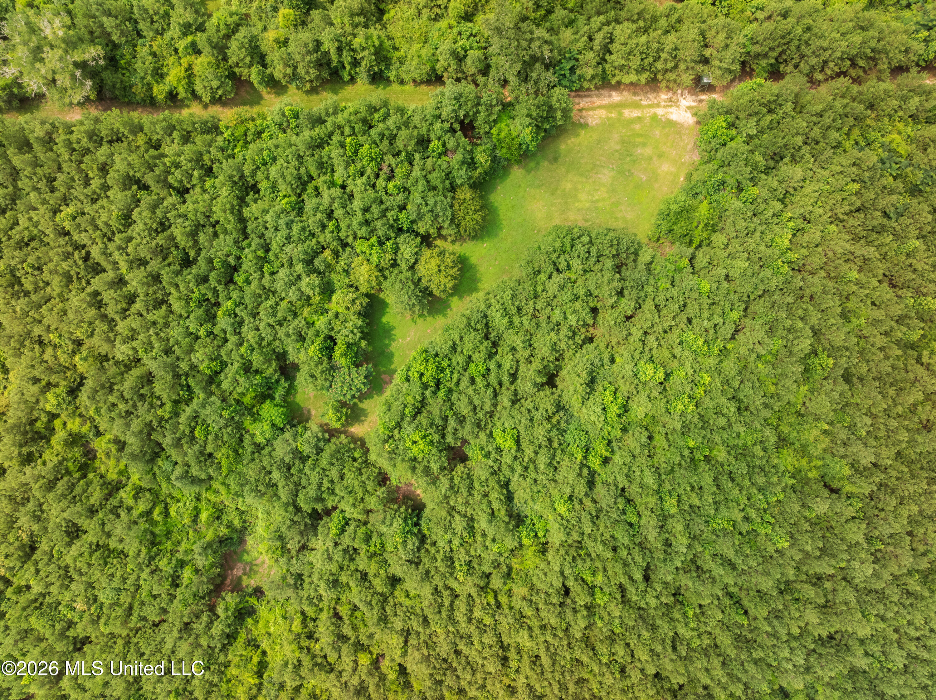 232 Knoxo Columbia Road Tylertown, MS 39667 - Photo 108 of 120 232_Knoxo_Columbia_Rd-107