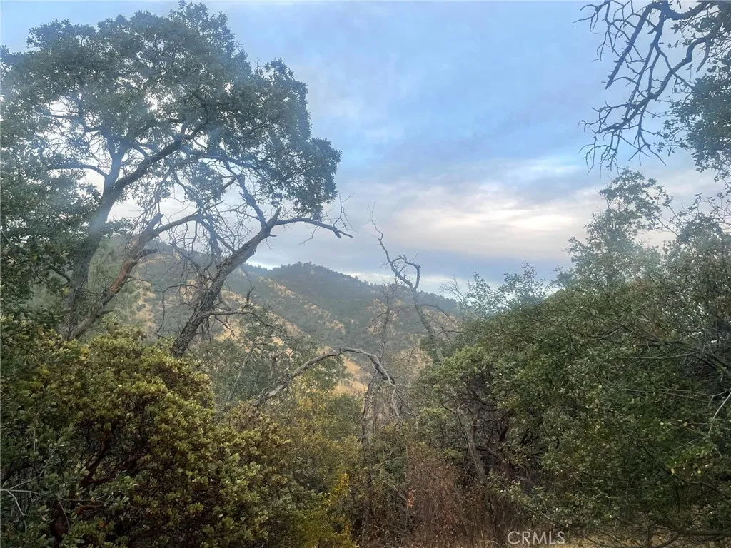 43020 Apache Rnch Road Ahwahnee, CA 93601 - Photo 10 of 19 a view of a yard with a tree