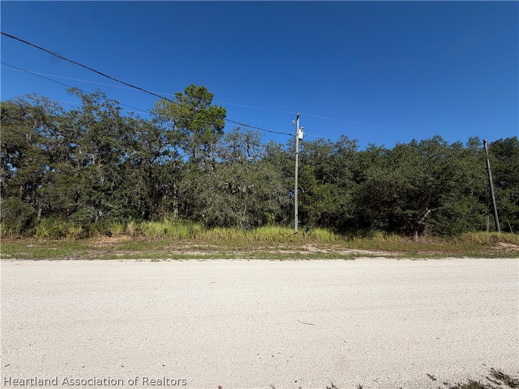 2813 North Monroe Road Avon Park, FL 33825 - Photo 5 of 5