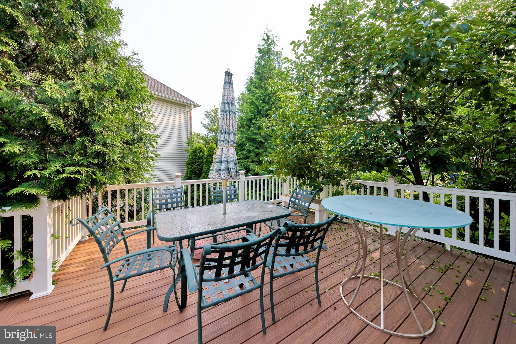 43873 Arborvitae Drive Ashburn, VA 20147 - Photo 16 of 50