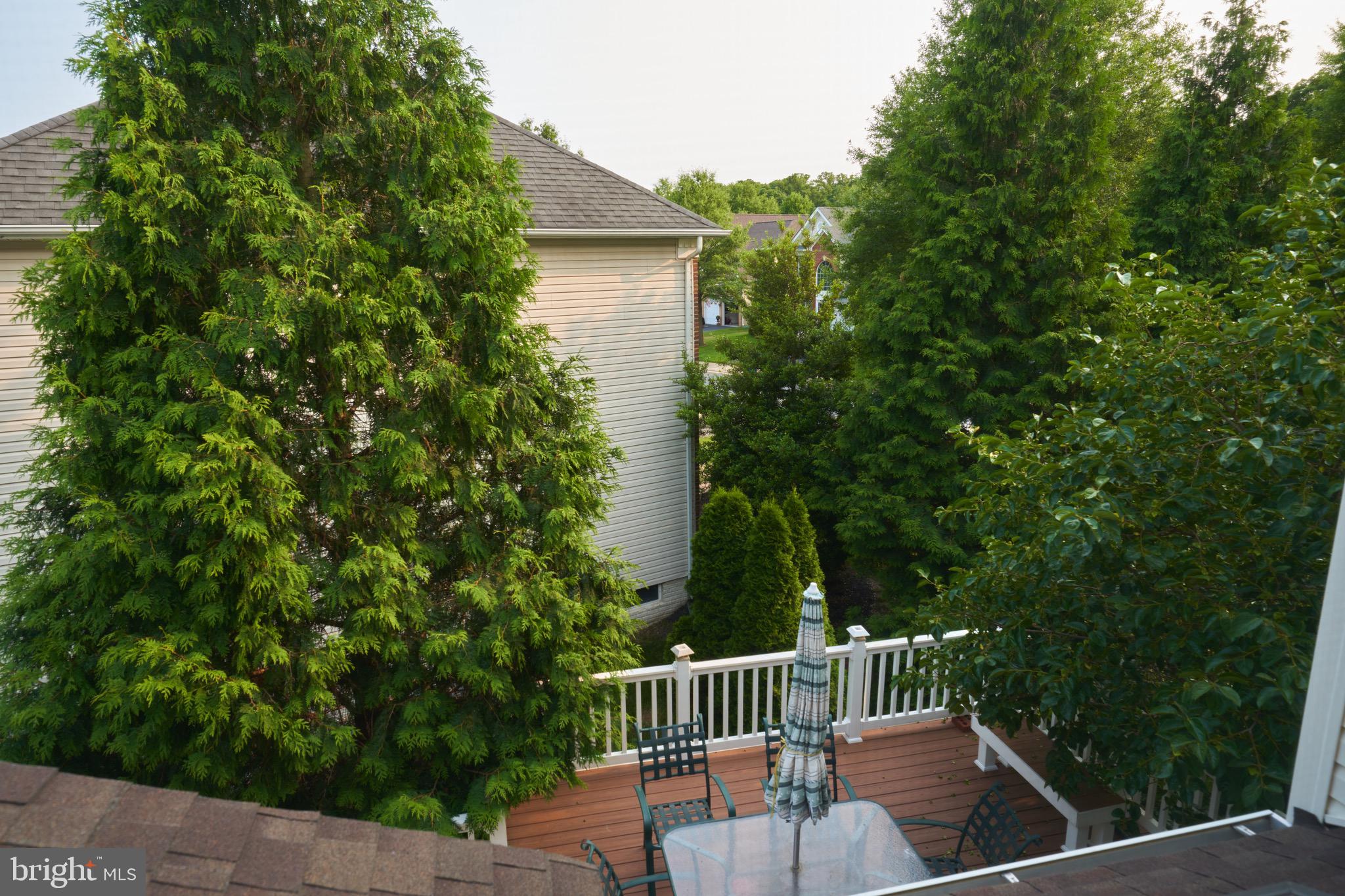 43873 Arborvitae Drive Ashburn, VA 20147 - Photo 38 of 50