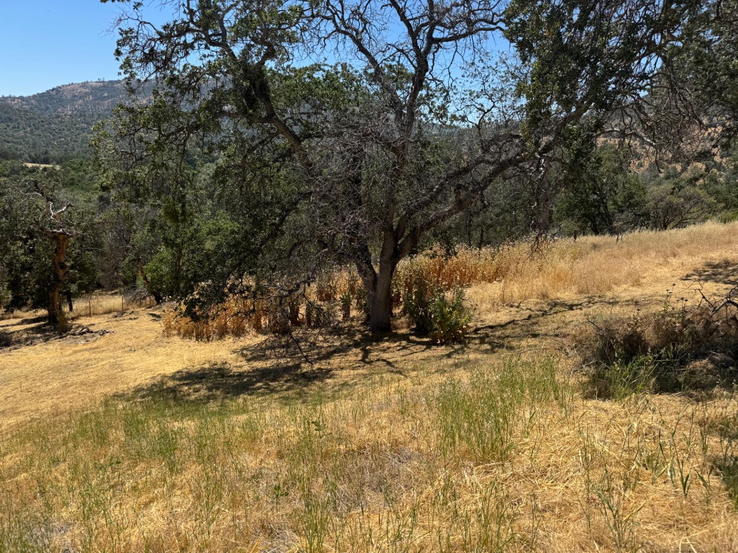 28944 Gibbs Ranch Road Tollhouse, CA 93667 - Photo 19 of 43 Gallery Image 19