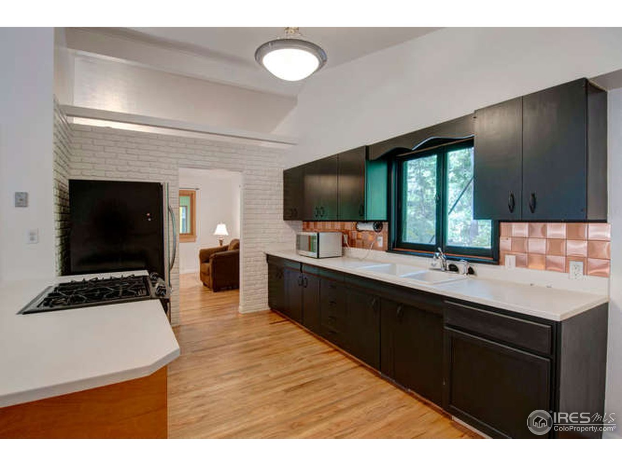 751 Gapter Road Boulder, CO 80303 - Photo 3 of 24 a kitchen with a sink counter top space and stainless steel appliances