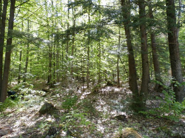 29 Canton Mountain Road Canton, ME 04221 - Photo 6 of 35 P6030220