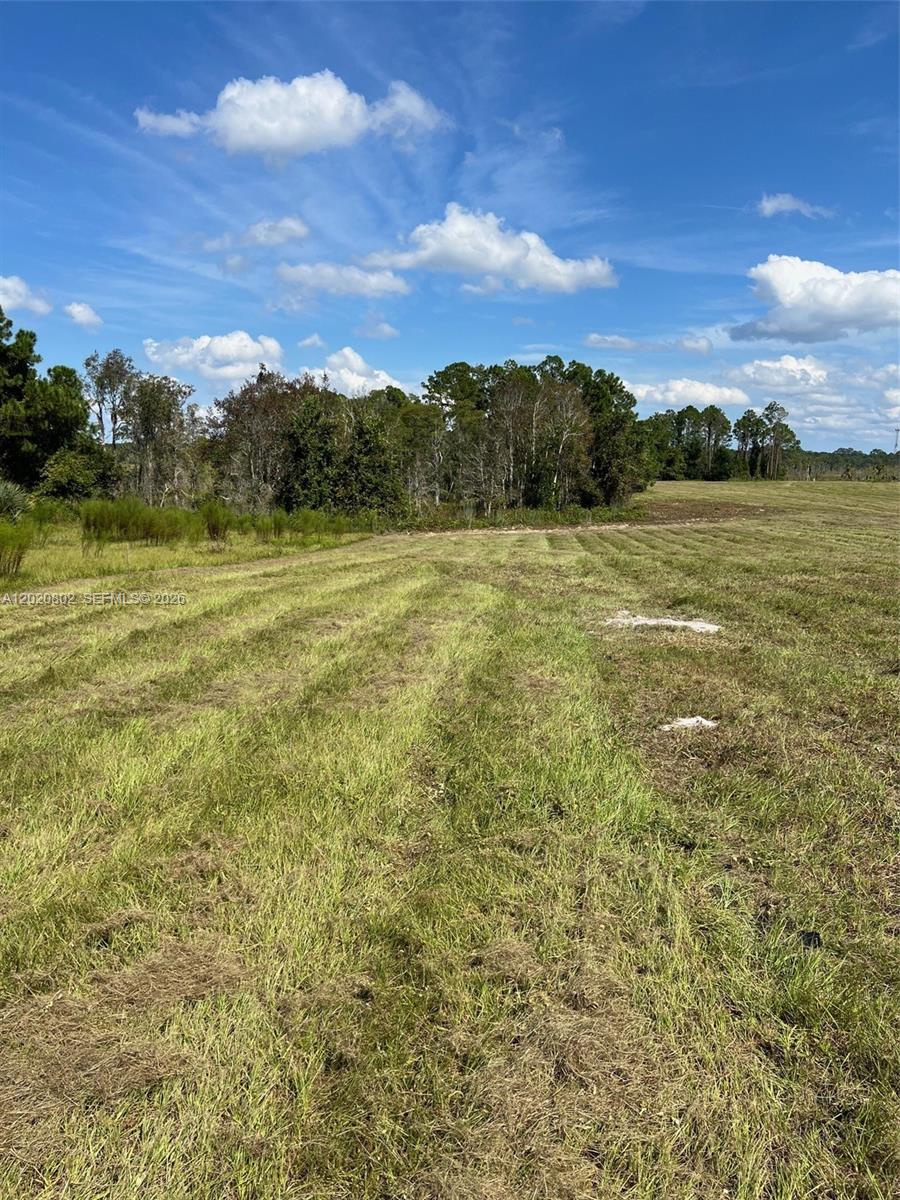 Huntington Shortcut Road Crescent City, FL 32112 - Photo 6 of 6 Photo 6