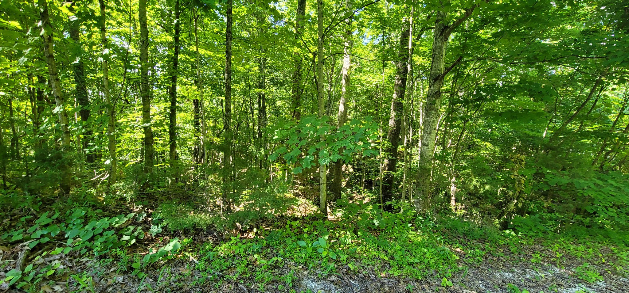 1250 Yellow Flats Road Spencer, TN 38585 - Photo 30 of 42