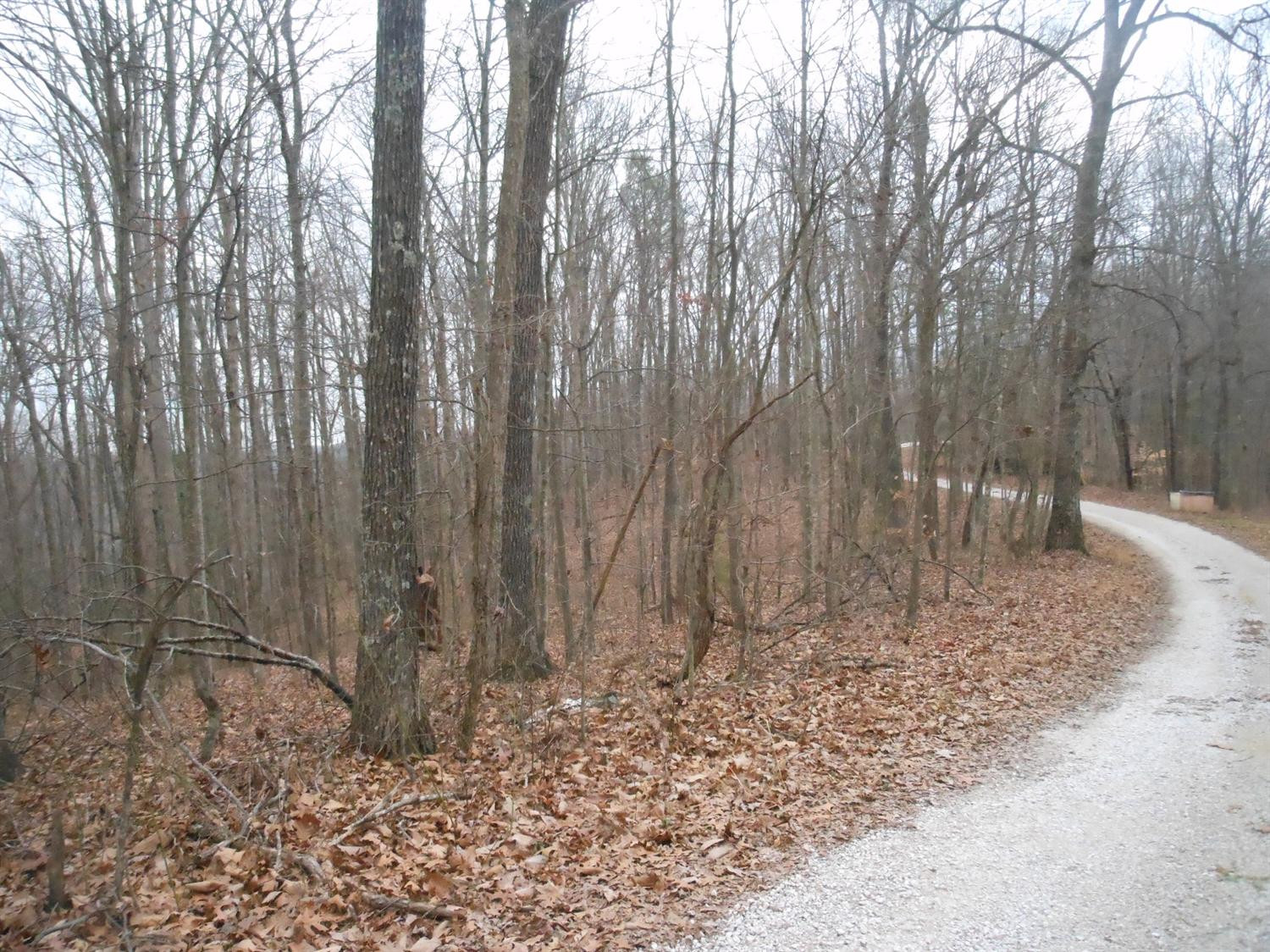 100 Amos Ridge Road Frenchburg, KY 40322 - Photo 3 of 11 Photo 3
