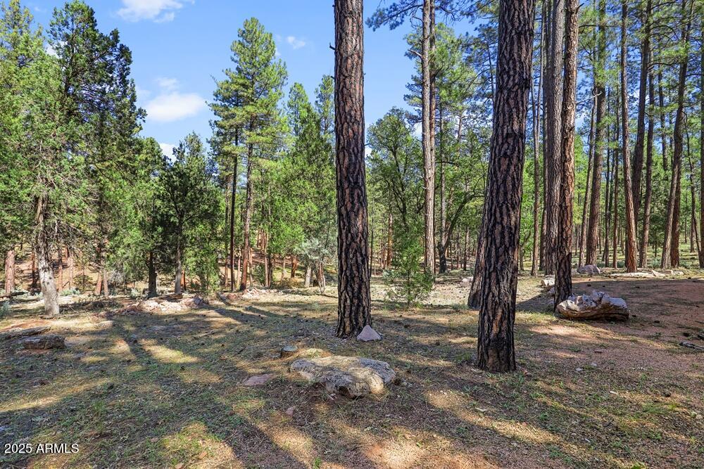 287 South Lookout Trail Payson, AZ 85541 - Photo 26 of 32 a view of outdoor space with lots of trees