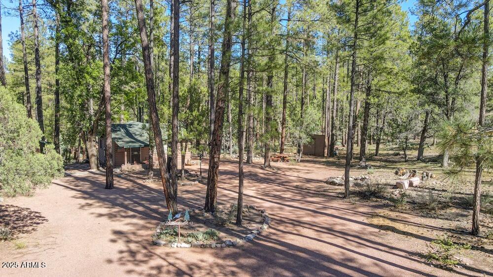 287 South Lookout Trail Payson, AZ 85541 - Photo 29 of 32 a view of a yard with trees