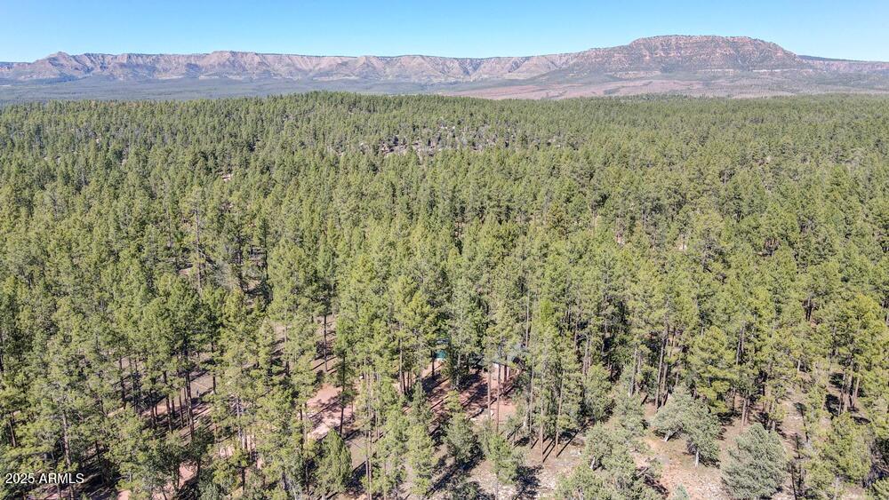 287 South Lookout Trail Payson, AZ 85541 - Photo 30 of 32 a view of a lush green hillside and a houses