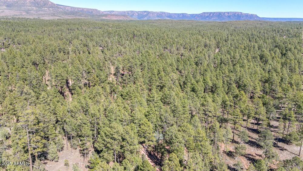 287 South Lookout Trail Payson, AZ 85541 - Photo 31 of 32 a view of a lush green field with a tree