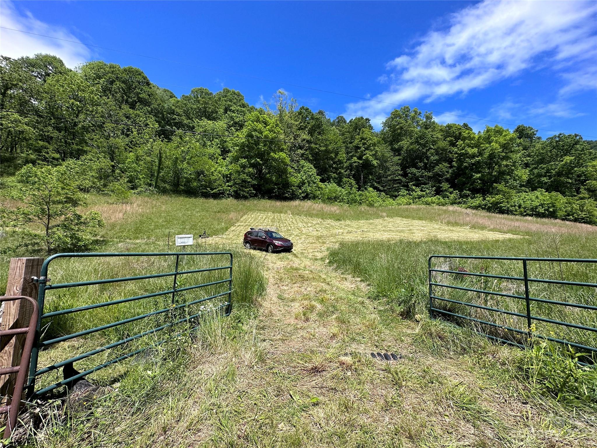 0 Black Branch Road Canton, NC 28716 - Photo 1 of 41 Gallery Image 1