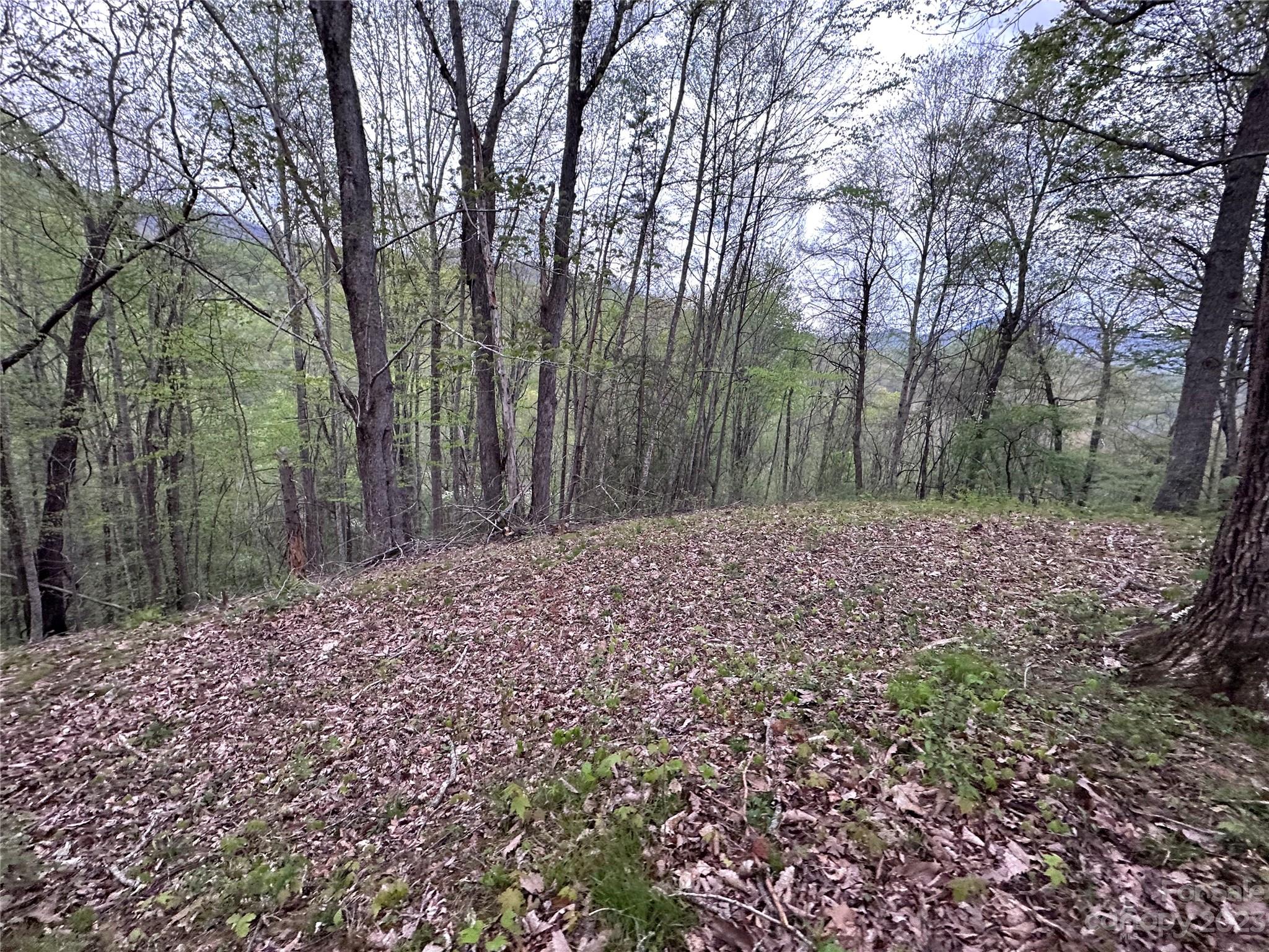 0 Black Branch Road Canton, NC 28716 - Photo 22 of 41 Gallery Image 22
