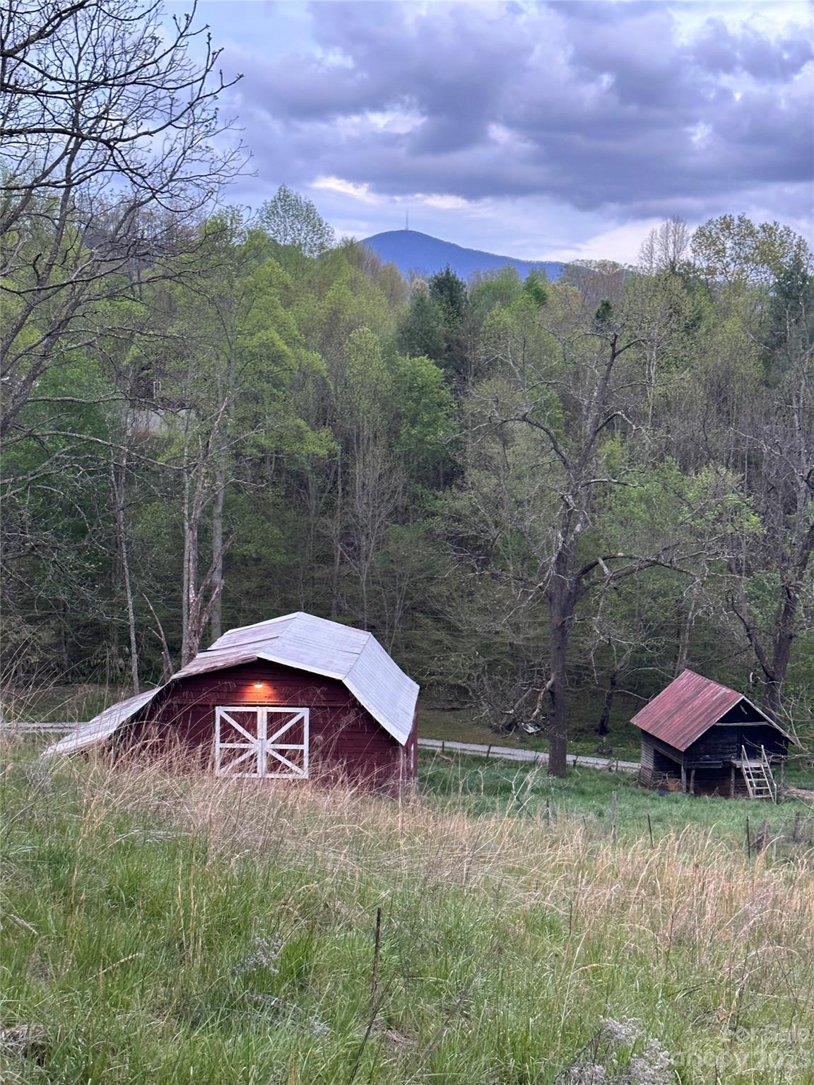 0 Black Branch Road Canton, NC 28716 - Photo 25 of 41 Gallery Image 25