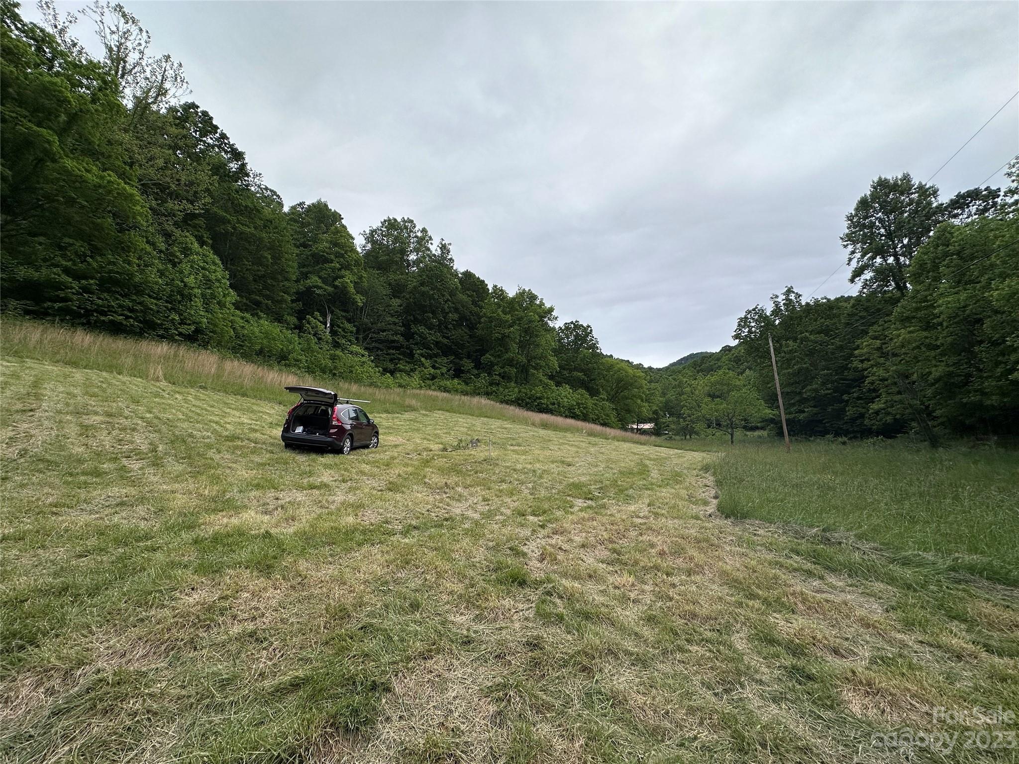 0 Black Branch Road Canton, NC 28716 - Photo 30 of 41 Gallery Image 30