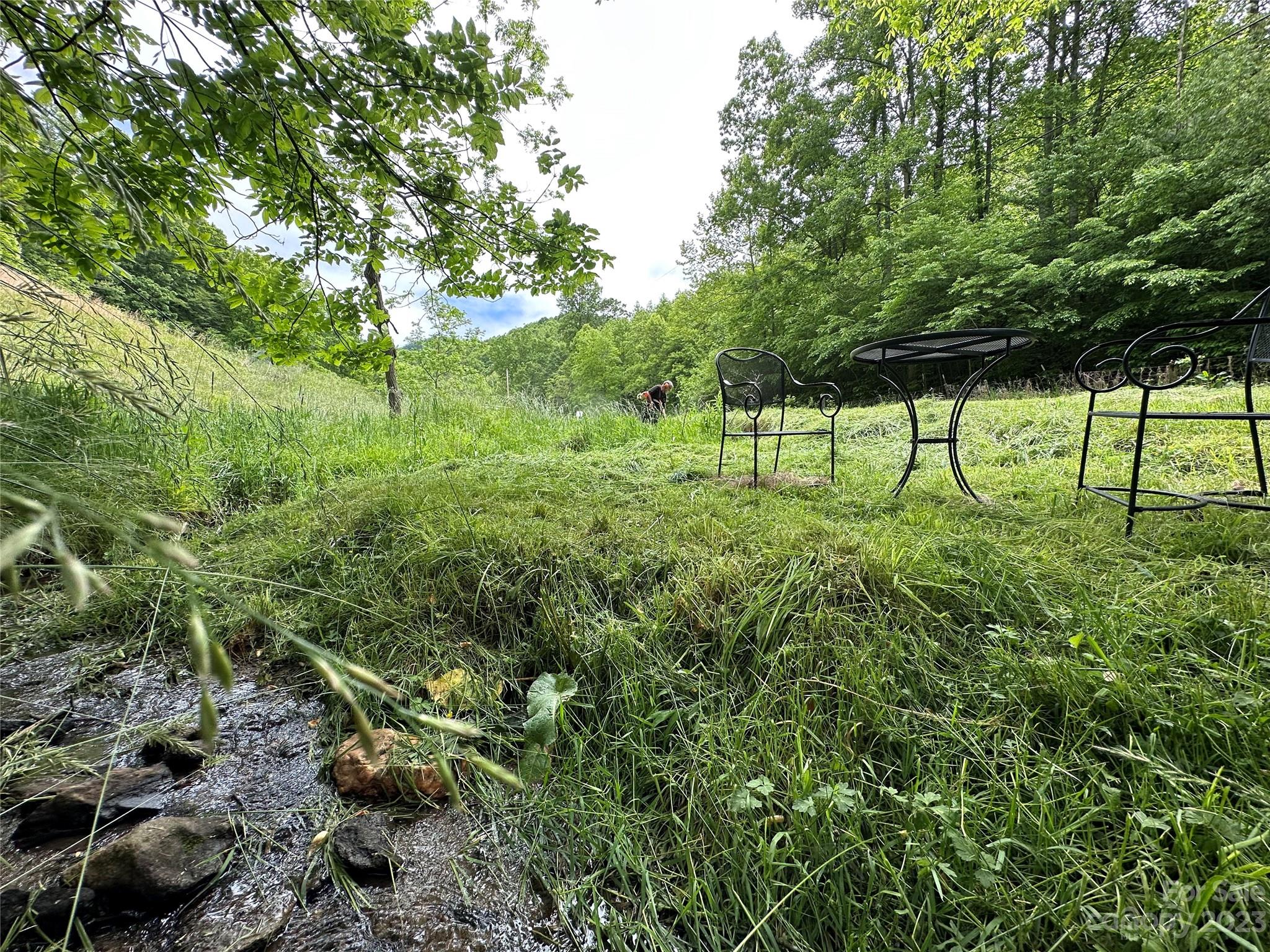 0 Black Branch Road Canton, NC 28716 - Photo 3 of 41 Gallery Image 3