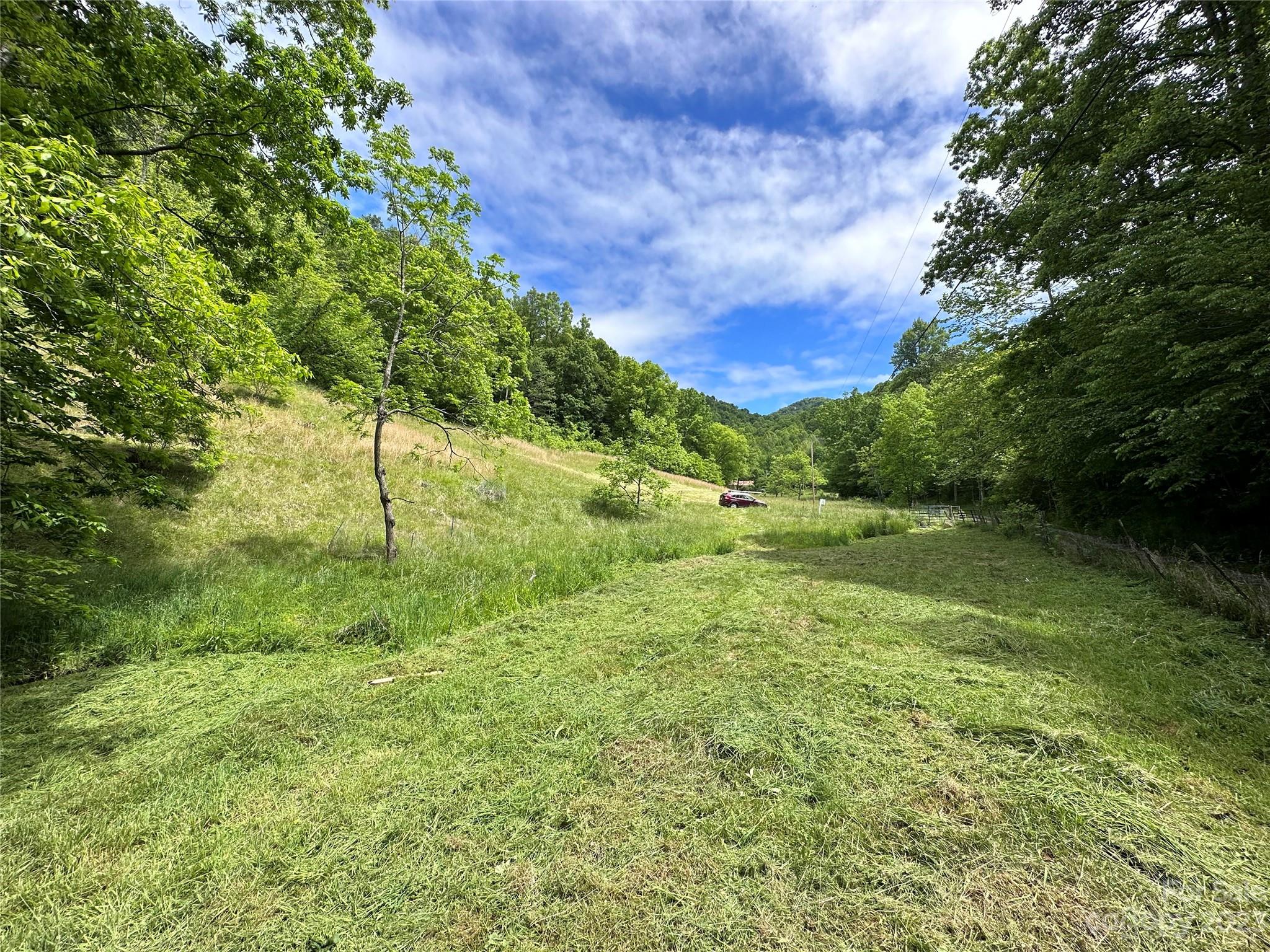 0 Black Branch Road Canton, NC 28716 - Photo 32 of 41 Gallery Image 32