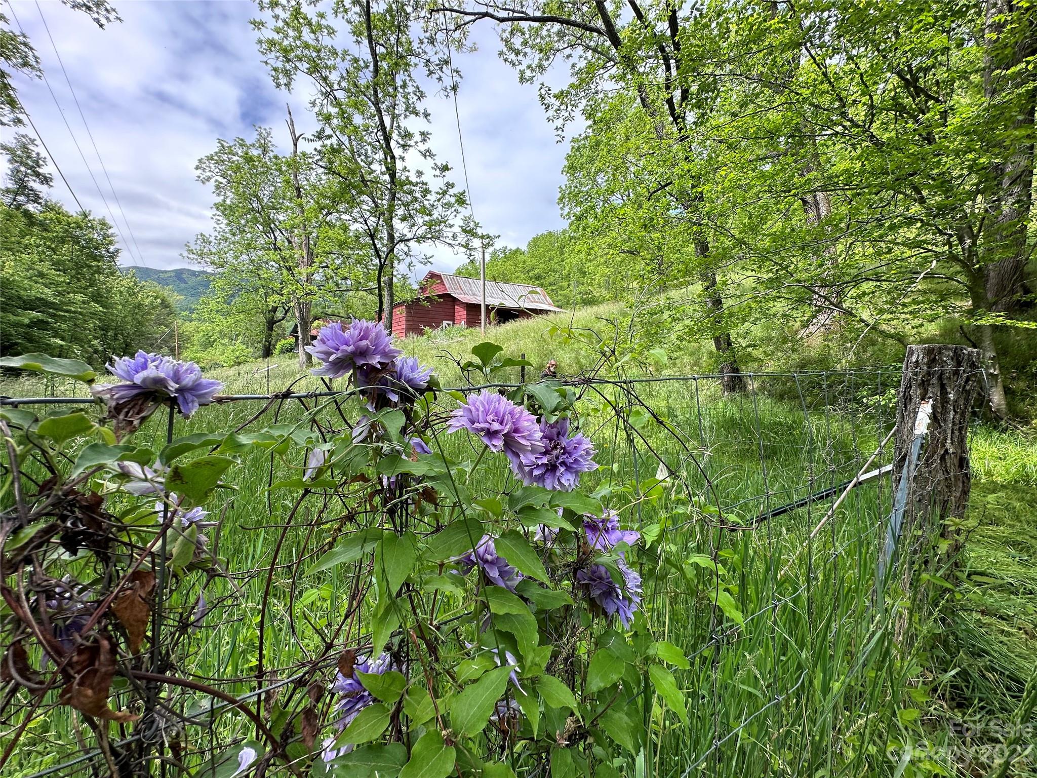 0 Black Branch Road Canton, NC 28716 - Photo 33 of 41 Gallery Image 33