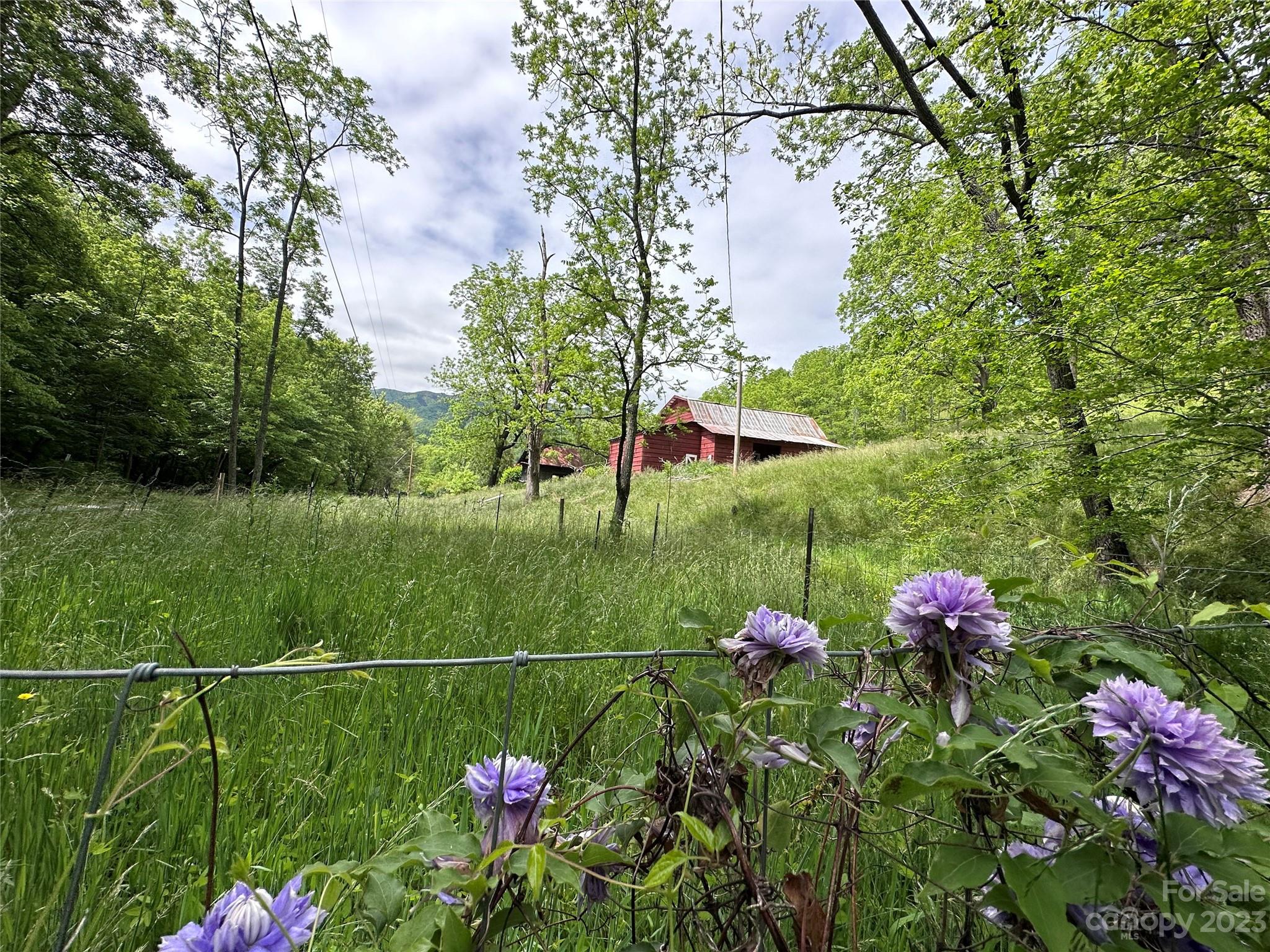 0 Black Branch Road Canton, NC 28716 - Photo 34 of 41 Gallery Image 34