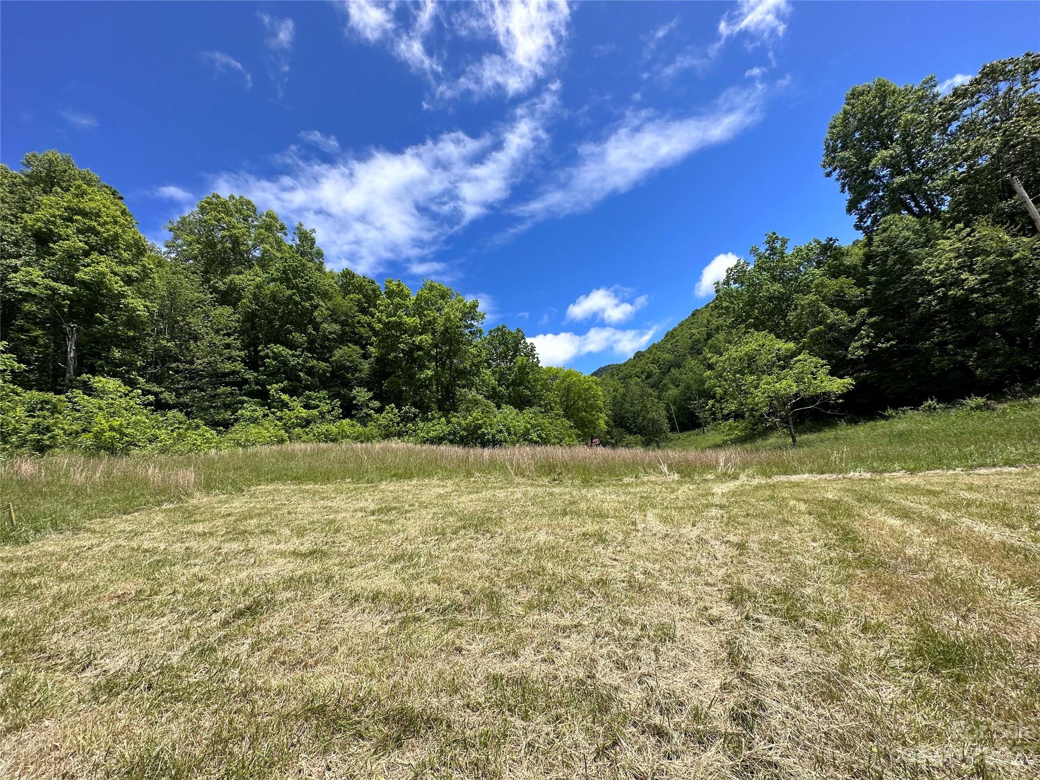 0 Black Branch Road Canton, NC 28716 - Photo 4 of 41 Gallery Image 4
