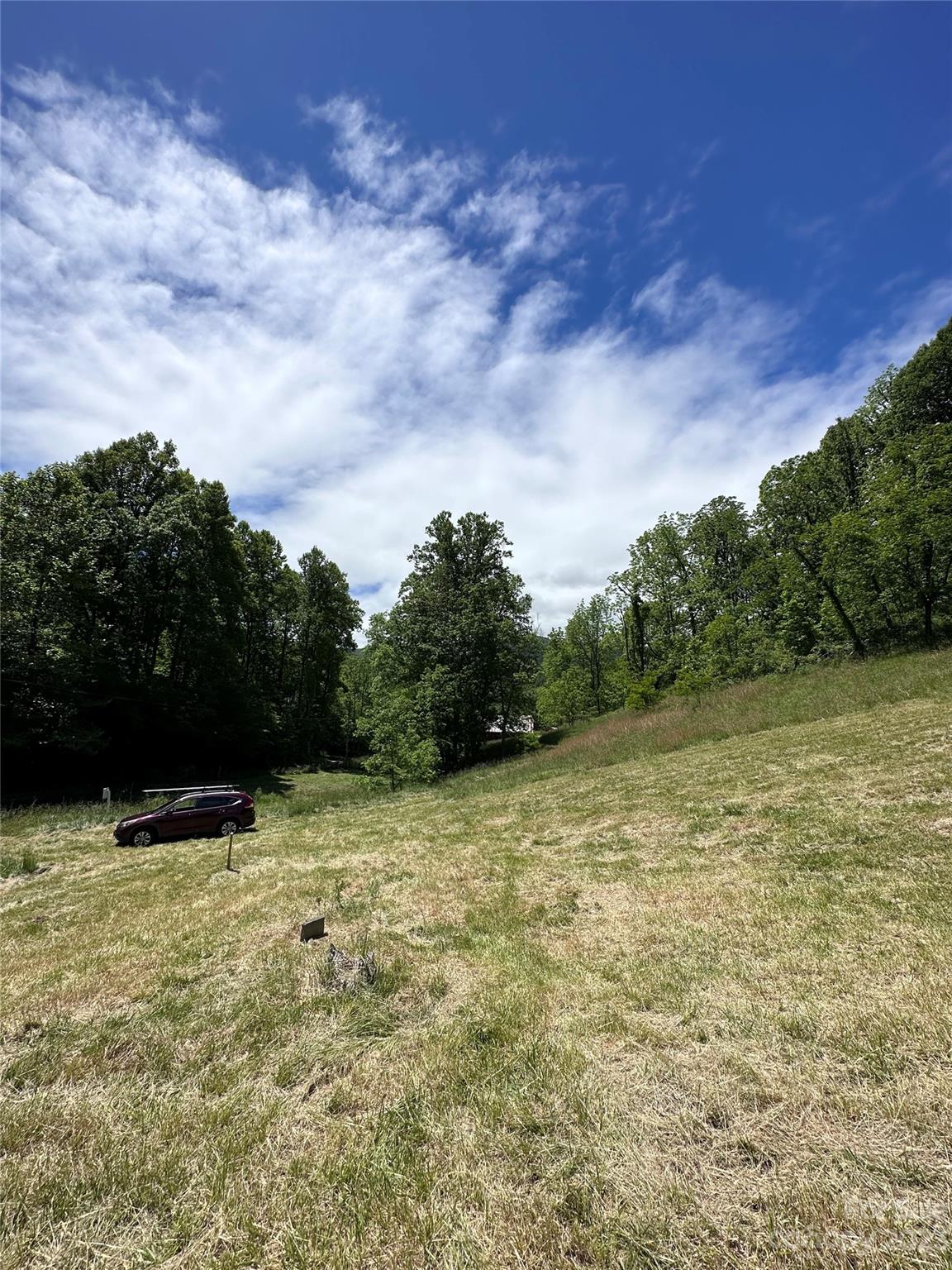0 Black Branch Road Canton, NC 28716 - Photo 41 of 41 Gallery Image 41