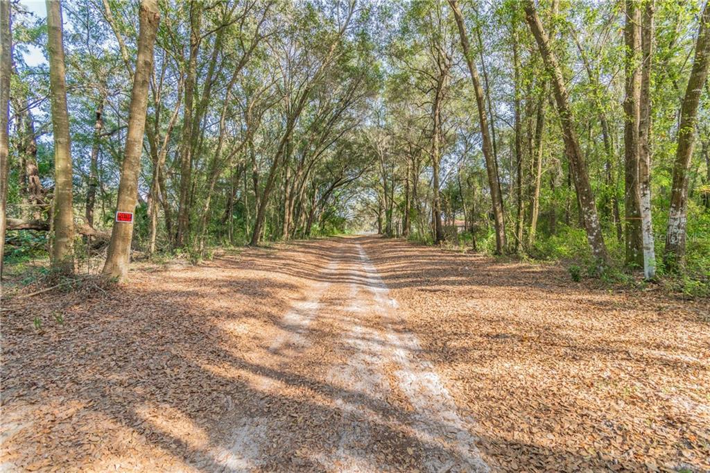 912 South Taylor Road Seffner, FL 33584 - Photo 1 of 1