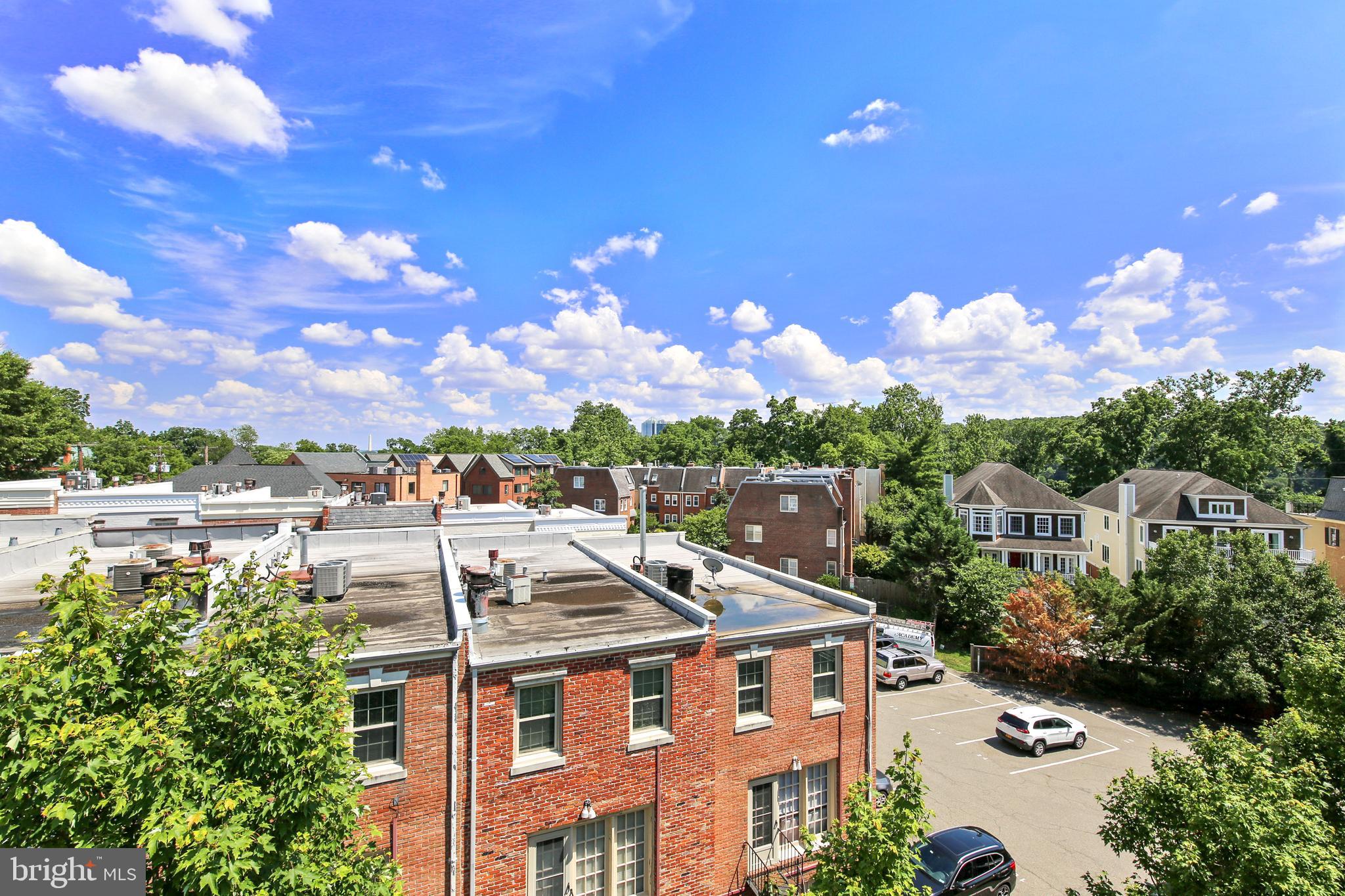1411 Ridgeview Way Washington, DC 20007 - Photo 31 of 43 Rooftop View