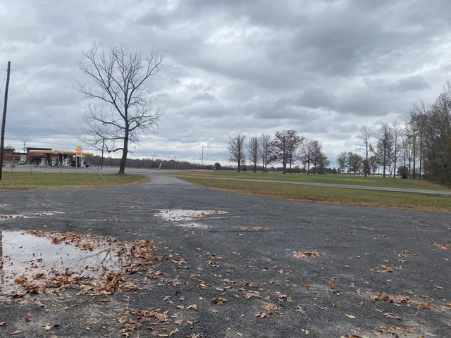a view of dirt field with trees