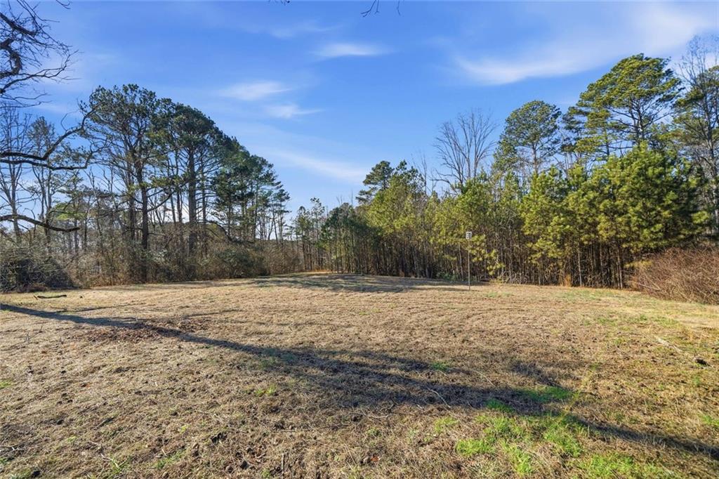 3418 Refuge Road Jasper, GA 30143 - Photo 54 of 55 a view of dirt yard with large trees