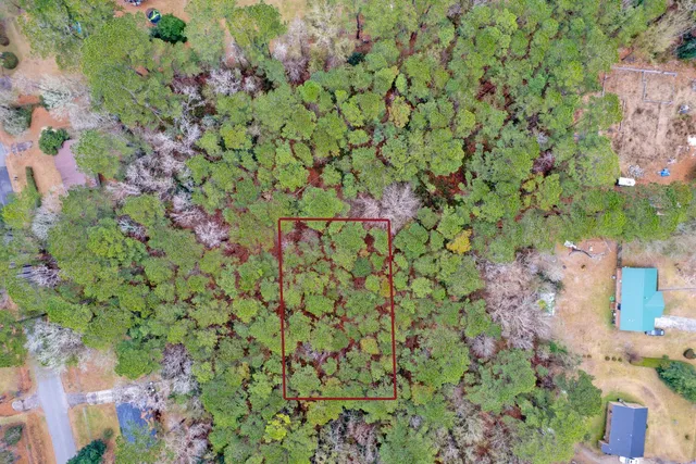 $16,000 | Lot 21 Gadsden Loop, Walterboro, SC 29488