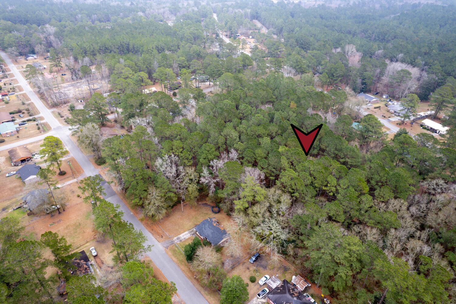 Lot 21 Gadsden Loop Walterboro, SC 29488 - Photo 6 of 13 7