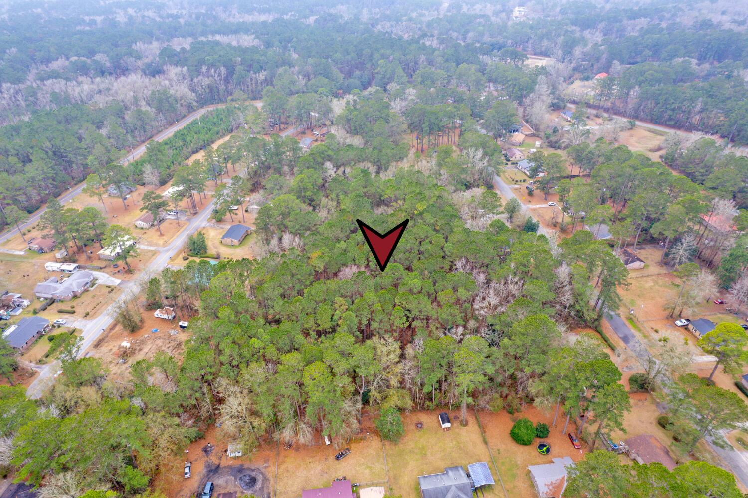 Lot 21 Gadsden Loop Walterboro, SC 29488 - Photo 10 of 13 11