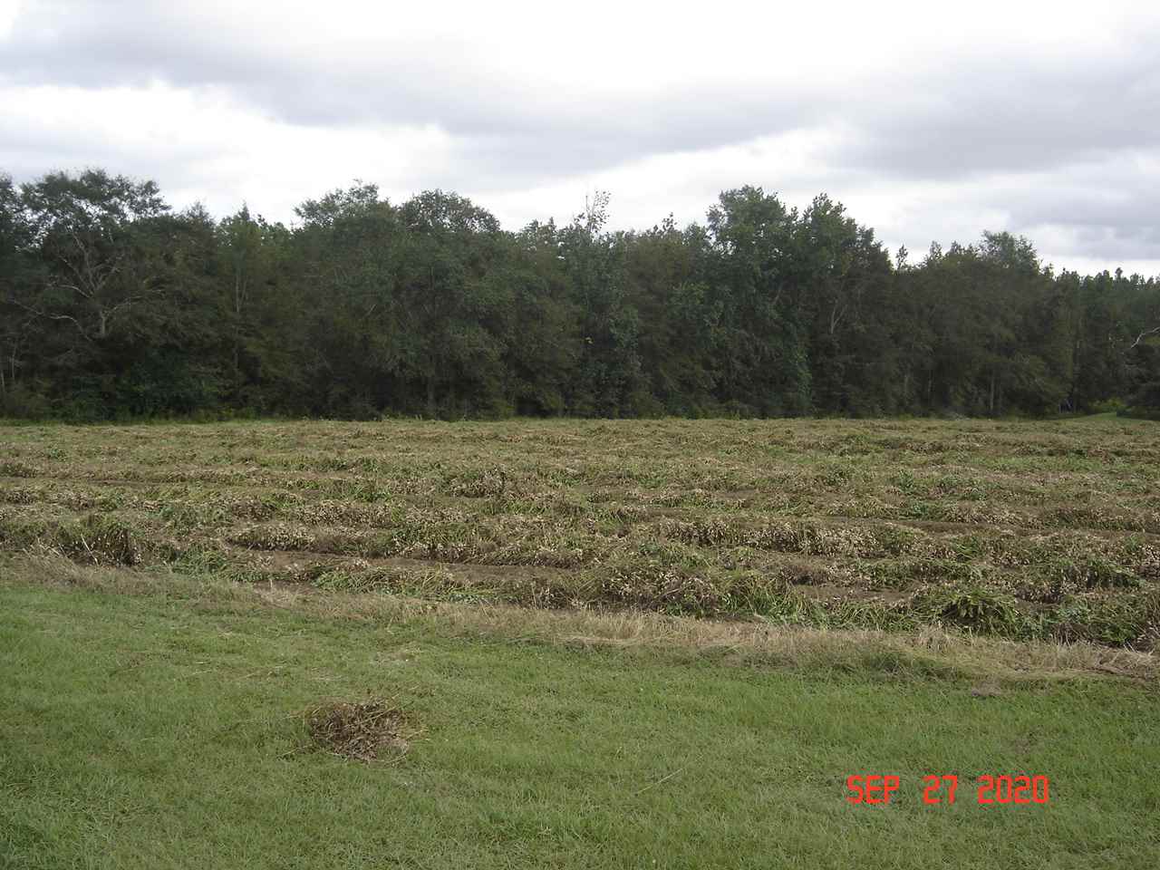 49-acres - Messick Loop Andalusia, AL 36421 - Photo 20 of 30 Gallery Image 20