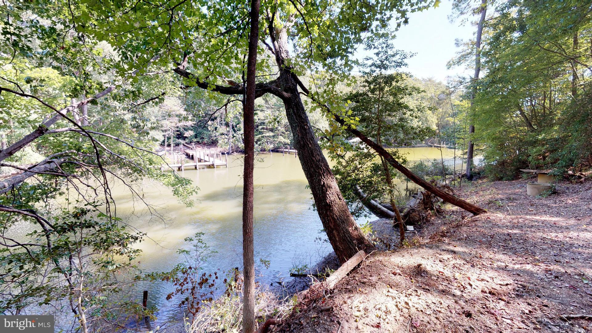 13284 Joy Road Lusby, MD 20657 - Photo 1 of 29 a picture of trees