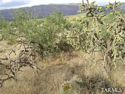 8475 South Tumbling X Ranch Place Vail, AZ 85641 - Photo 11 of 19 Gallery Image 11