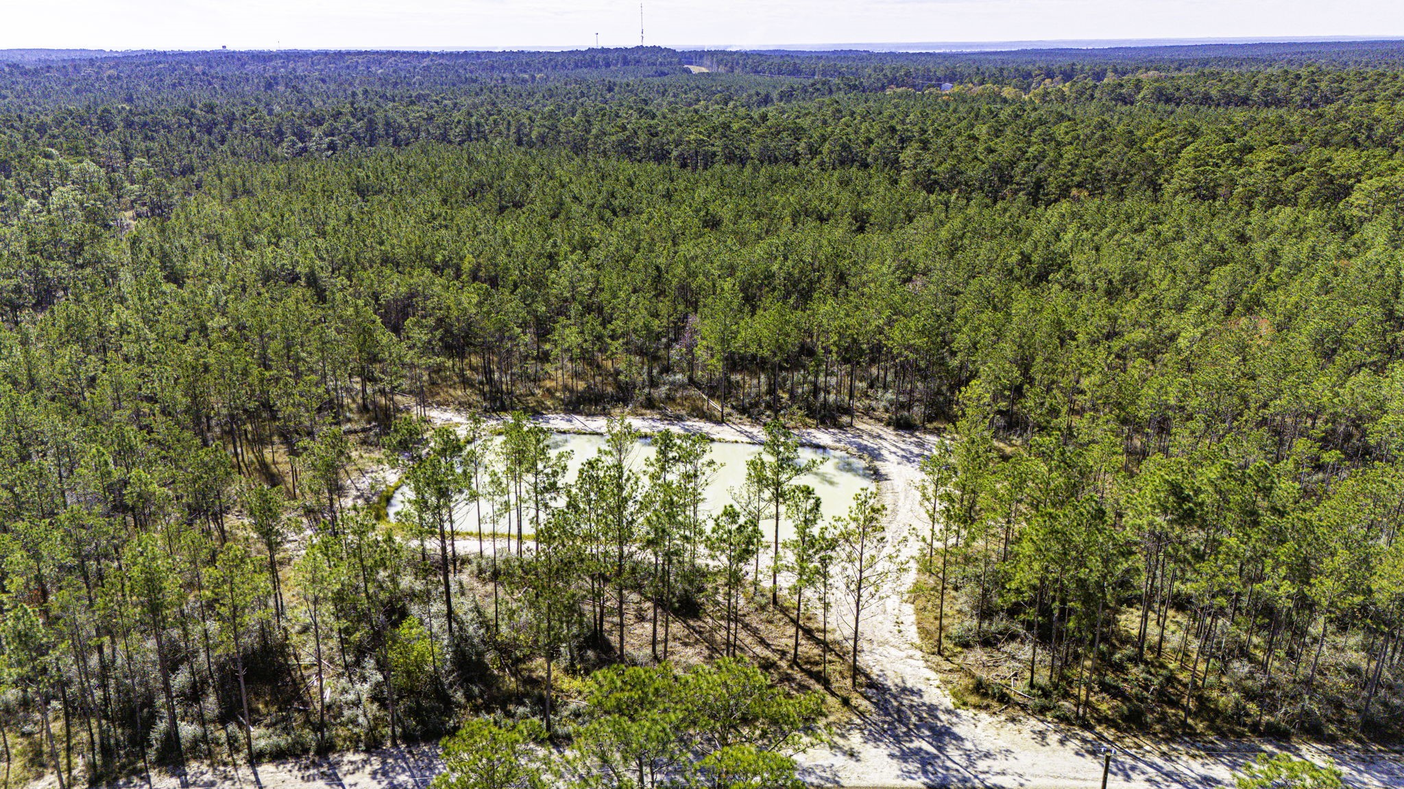 28 King Ranch Road South Onalaska, TX 77360 - Photo 2 of 12 a view of a field with trees in the background