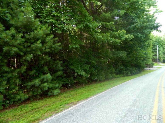 Lot 58 Lot Road Sapphire, NC 28774 - Photo 1 of 1 Gallery Image 1