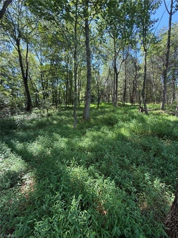 2633 Sprouse Road Boonville, NC 27011 - Photo 13 of 19