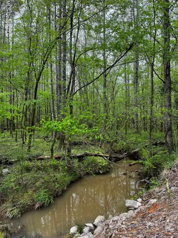 $44,800 | 990 Conley, Gore Springs, MS 38929