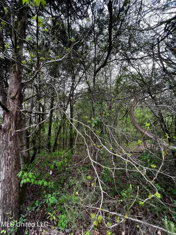 $44,800 | 990 Conley, Gore Springs, MS 38929